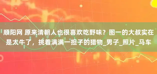 顺阳网 原来清朝人也很喜欢吃野味？图一的大叔实在是太牛了，挑着满满一担子的猎物_男子_照片_马车