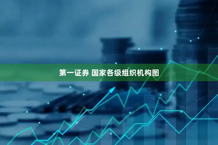 第一证券 国家各级组织机构图