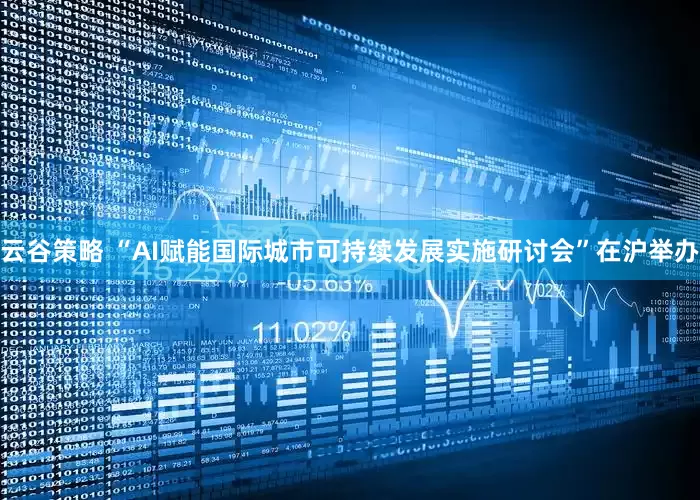 云谷策略 “AI赋能国际城市可持续发展实施研讨会”在沪举办