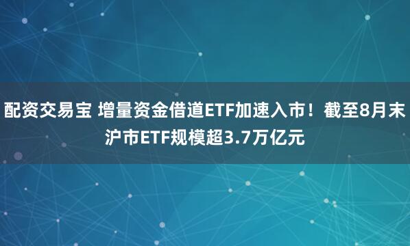 配资交易宝 增量资金借道ETF加速入市！截至8月末沪市ETF规模超3.7万亿元