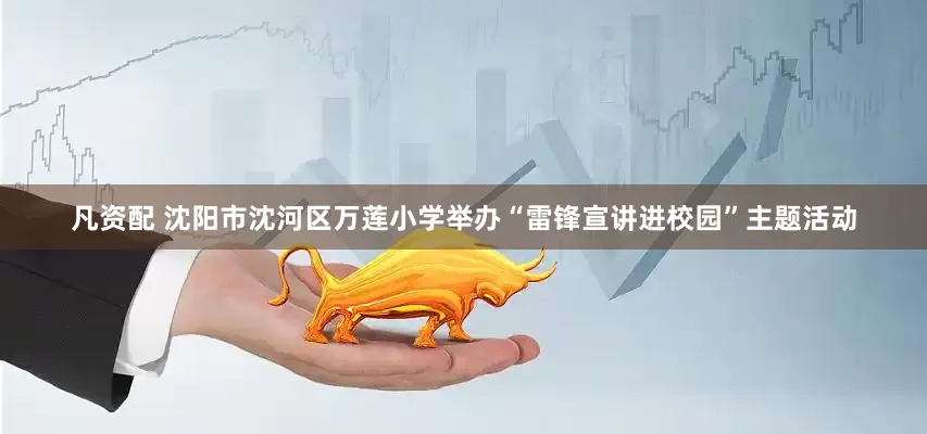 凡资配 沈阳市沈河区万莲小学举办“雷锋宣讲进校园”主题活动