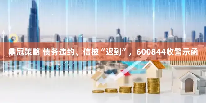 鼎冠策略 债务违约、信披“迟到”，600844收警示函